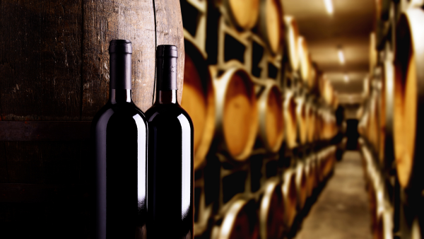 Två vinflaskor står i en vinkällare med fat bakom sig